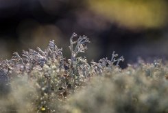 _IMG8912